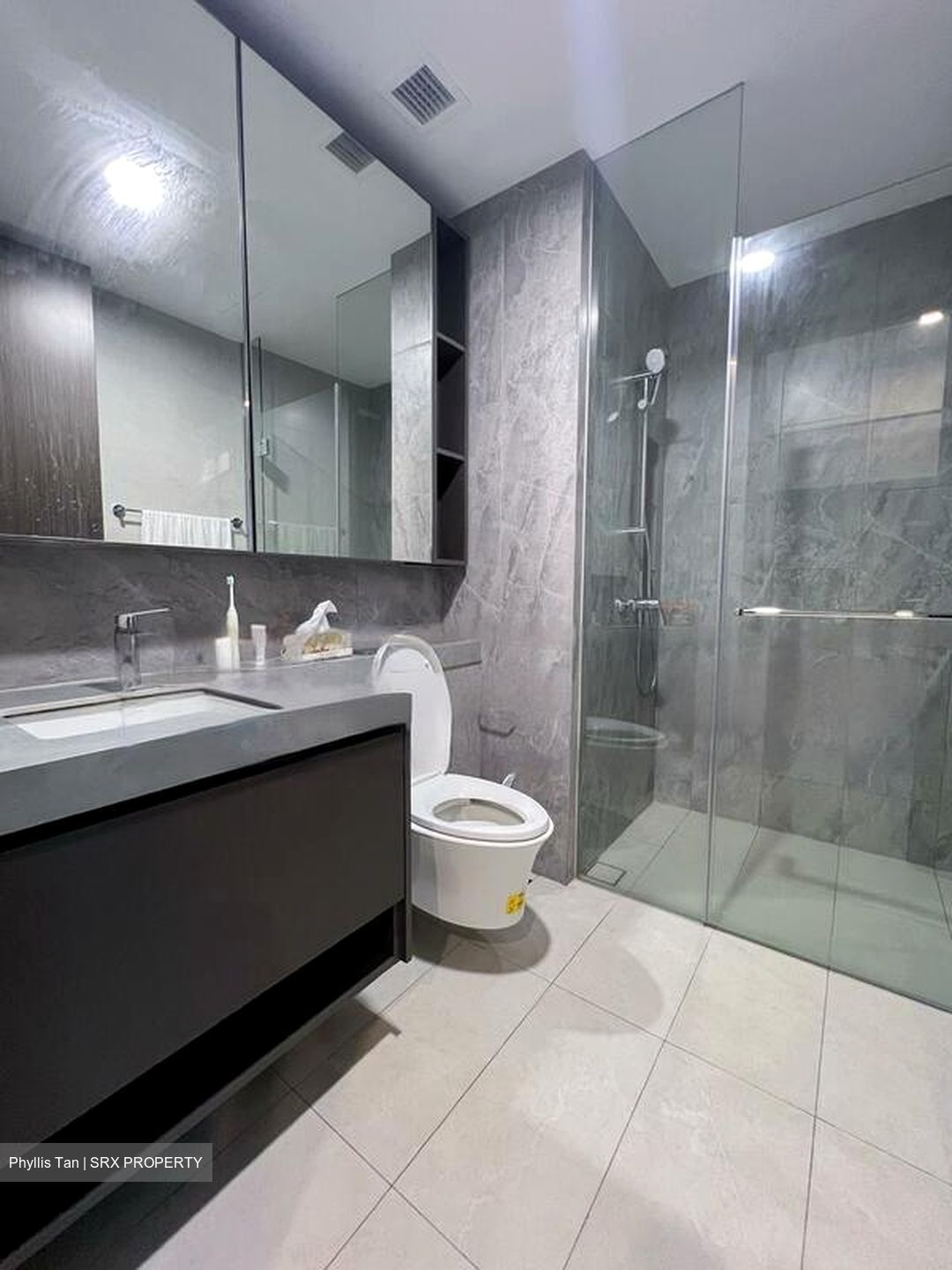 Parc Clematis (D5), Apartment #504654751